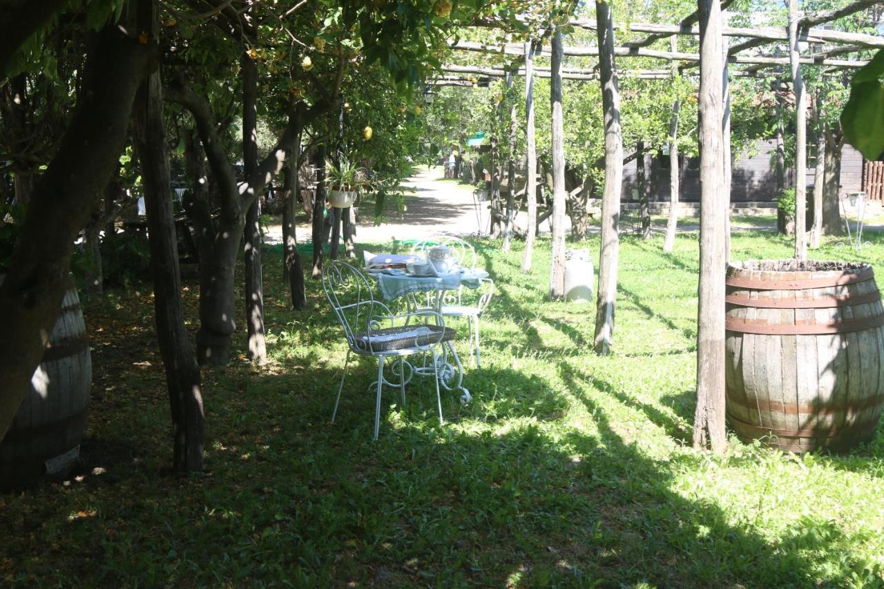 Emy'S Country House Apartment Castellammare di Stabia Exterior foto